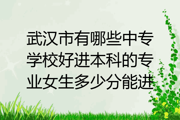 武汉市有哪些中专学校好进本科的专业女生多少分能进