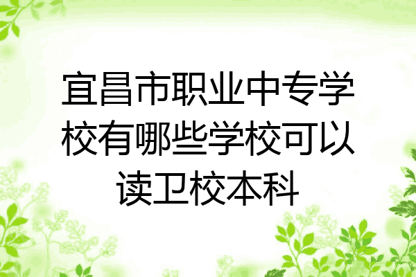 宜昌市职业中专学校有哪些学校可以读卫校本科