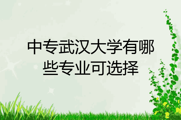 中专武汉大学有哪些专业可选择