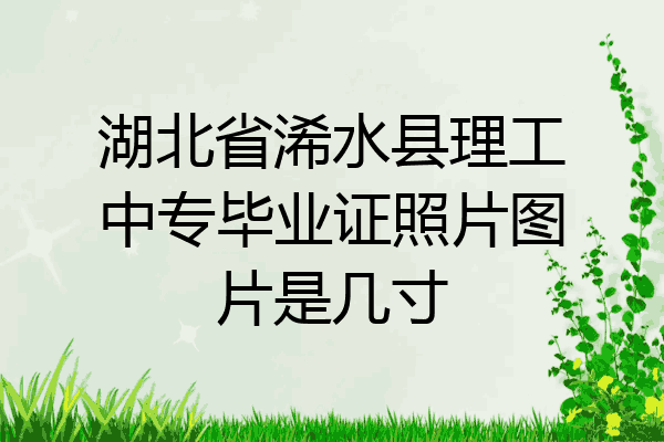 湖北省浠水县理工中专毕业证照片图片是几寸