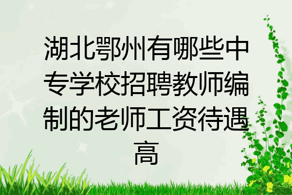 湖北鄂州有哪些中专学校招聘教师编制的老师工资待遇高