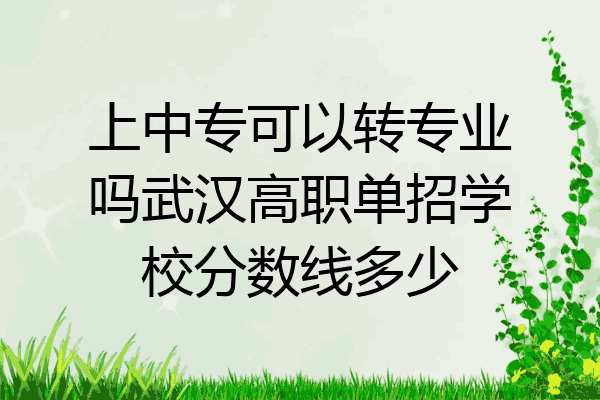 上中专可以转专业吗武汉高职单招学校分数线多少