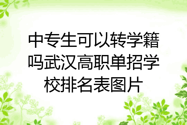 中专生可以转学籍吗武汉高职单招学校排名表图片