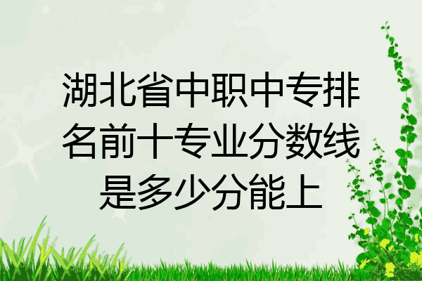湖北省中职中专排名前十专业分数线是多少分能上
