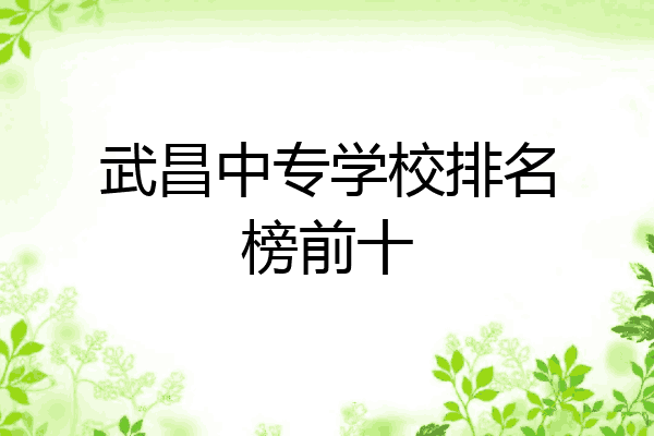武昌中专学校排名榜前十