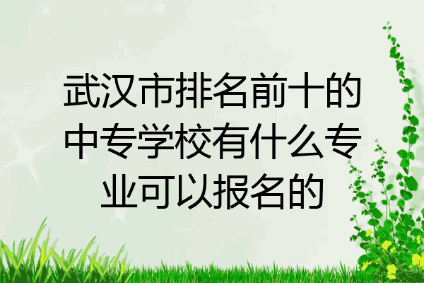 武汉市排名前十的中专学校有什么专业可以报名的