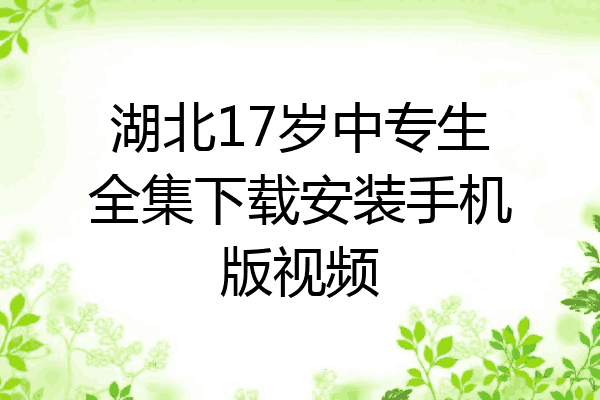湖北17岁中专生全集下载安装手机版视频