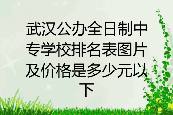武汉公办全日制中专学校排名表图片及价格是多少元以下