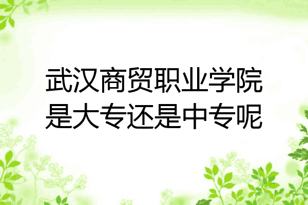 武汉商贸职业学院是大专还是中专呢