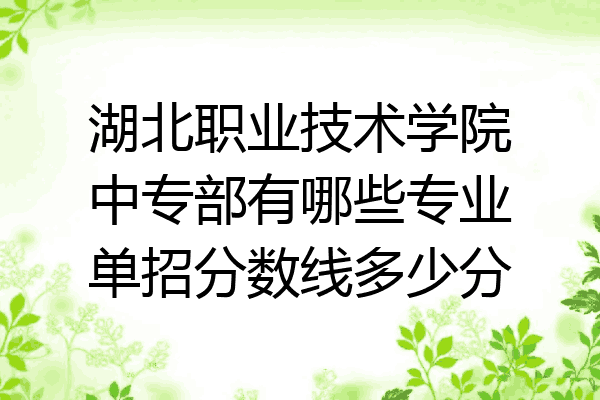 湖北职业技术学院中专部有哪些专业单招分数线多少分