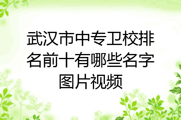 武汉市中专卫校排名前十有哪些名字图片视频