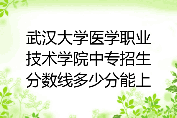 武汉大学医学职业技术学院中专招生分数线多少分能上