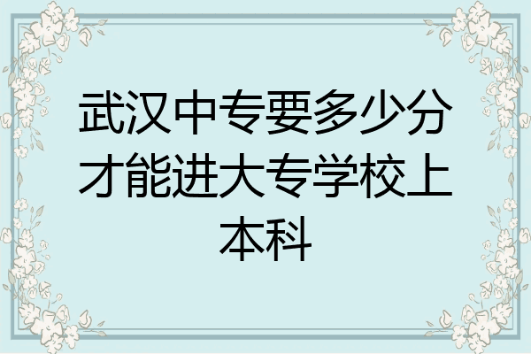 武汉中专要多少分才能进大专学校上本科