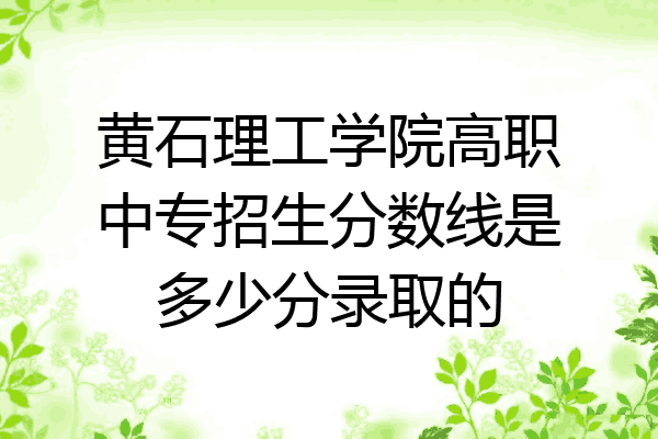 黄石理工学院高职中专招生分数线是多少分录取的