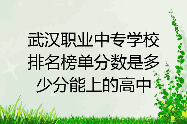 武汉职业中专学校排名榜单分数是多少分能上的高中