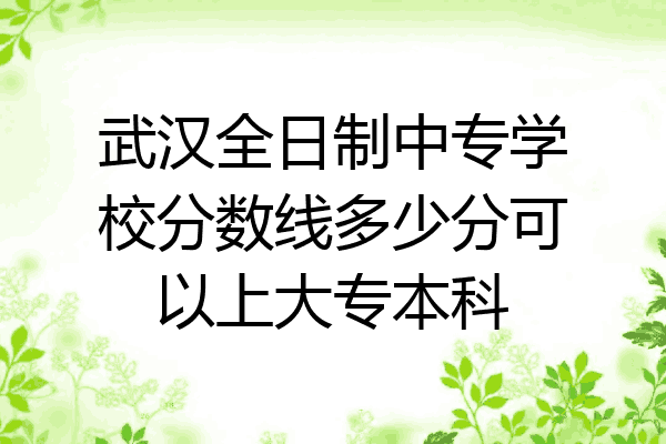 武汉全日制中专学校分数线多少分可以上大专本科