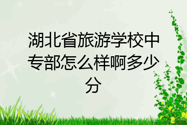 湖北省旅游学校中专部怎么样啊多少分