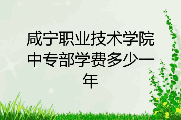 咸宁职业技术学院中专部学费多少一年