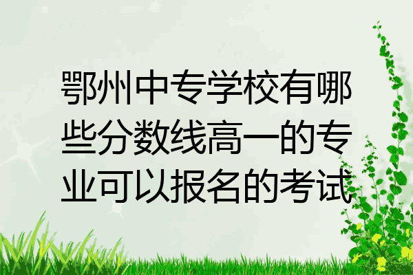 鄂州中专学校有哪些分数线高一的专业可以报名的考试