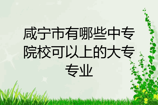 咸宁市有哪些中专院校可以上的大专专业