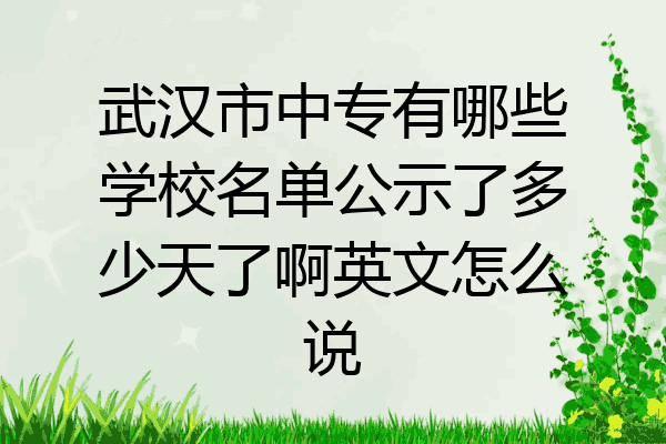 武汉市中专有哪些学校名单公示了多少天了啊英文怎么说