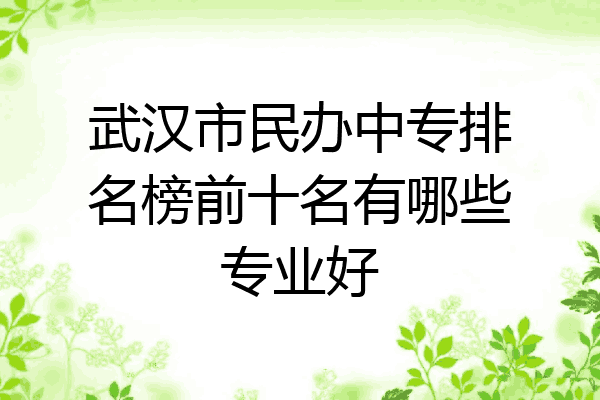 武汉市民办中专排名榜前十名有哪些专业好