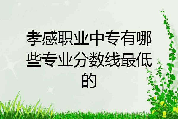 孝感职业中专有哪些专业分数线最低的