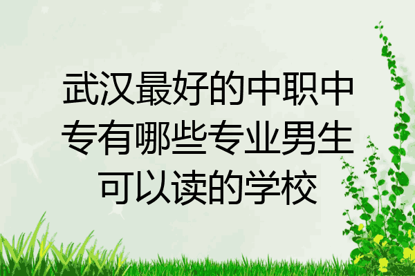 武汉最好的中职中专有哪些专业男生可以读的学校