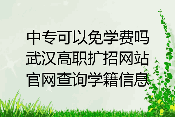 中专可以免学费吗武汉高职扩招网站官网查询学籍信息
