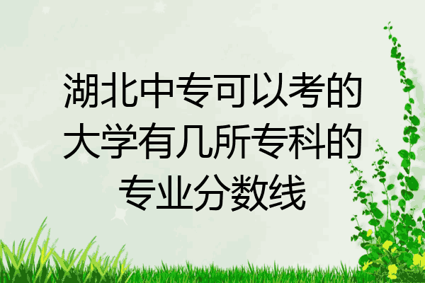 湖北中专可以考的大学有几所专科的专业分数线