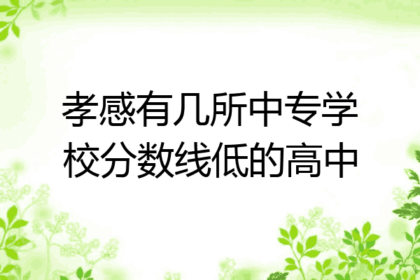 孝感有几所中专学校分数线低的高中