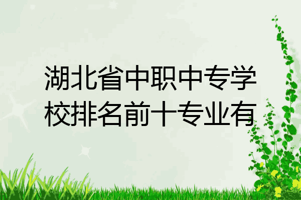 湖北省中职中专学校排名前十专业有