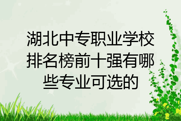 湖北中专职业学校排名榜前十强有哪些专业可选的