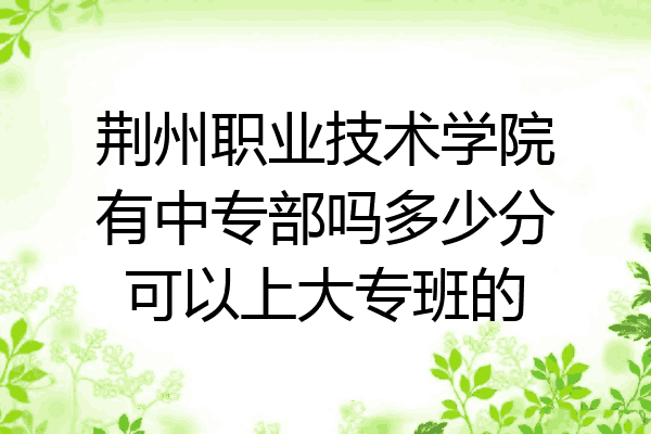 荆州职业技术学院有中专部吗多少分可以上大专班的