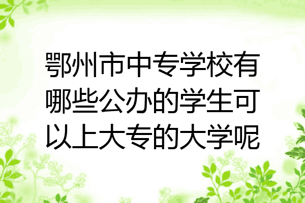 鄂州市中专学校有哪些公办的学生可以上大专的大学呢