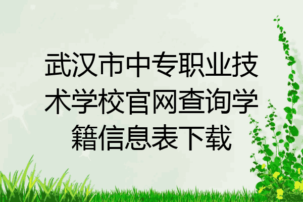 武汉市中专职业技术学校官网查询学籍信息表下载