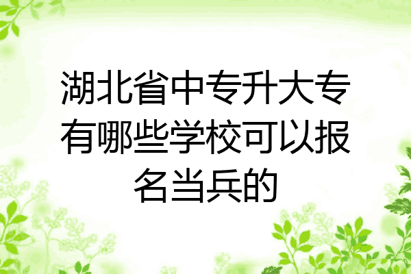 湖北省中专升大专有哪些学校可以报名当兵的