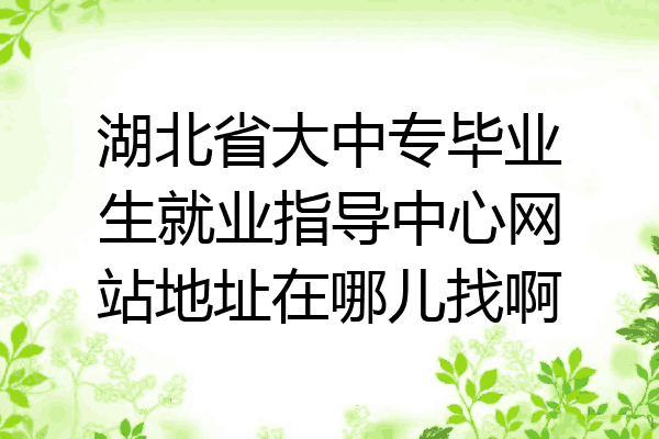 湖北省大中专毕业生就业指导中心网站地址在哪儿找啊