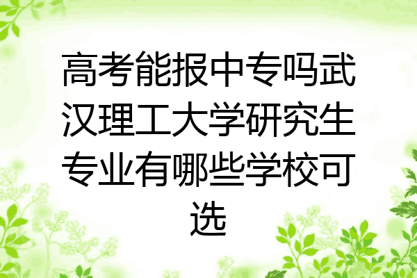 高考能报中专吗武汉理工大学研究生专业有哪些学校可选
