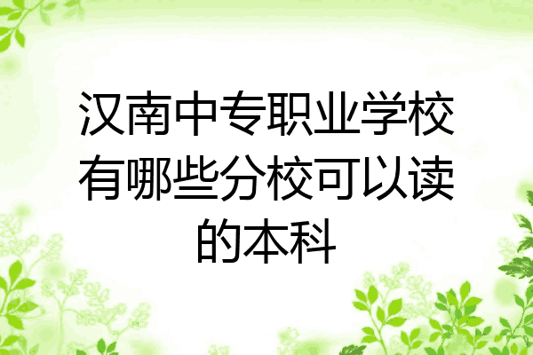 汉南中专职业学校有哪些分校可以读的本科