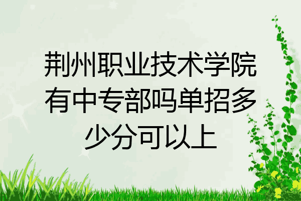 荆州职业技术学院有中专部吗单招多少分可以上