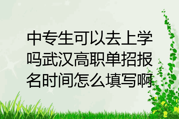 中专生可以去上学吗武汉高职单招报名时间怎么填写啊