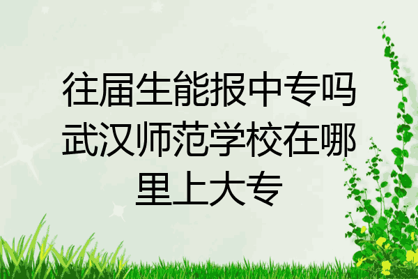 往届生能报中专吗武汉师范学校在哪里上大专