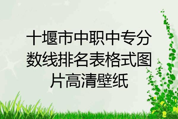 十堰市中职中专分数线排名表格式图片高清壁纸