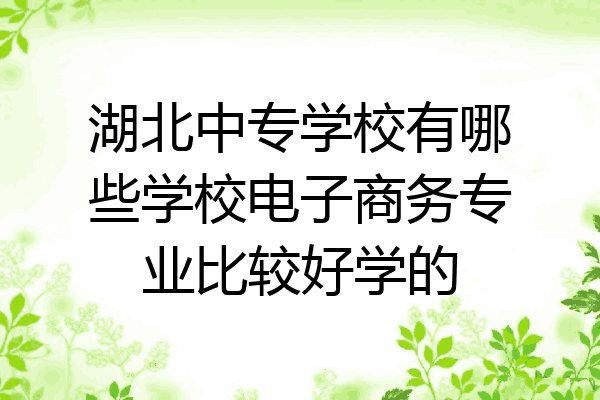 湖北中专学校有哪些学校电子商务专业比较好学的