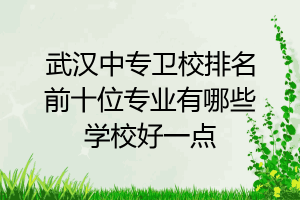 武汉中专卫校排名前十位专业有哪些学校好一点