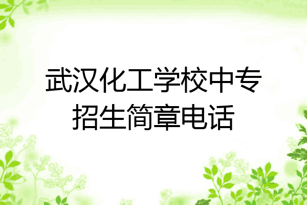 武汉化工学校中专招生简章电话