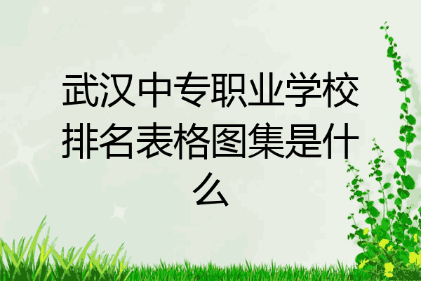 武汉中专职业学校排名表格图集是什么