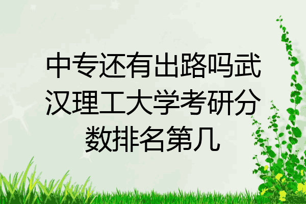 中专还有出路吗武汉理工大学考研分数排名第几