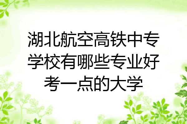 湖北航空高铁中专学校有哪些专业好考一点的大学